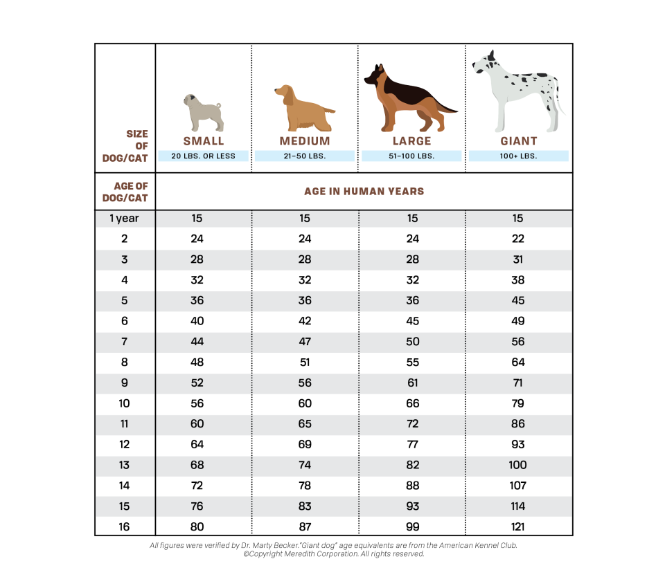 dog growth chart