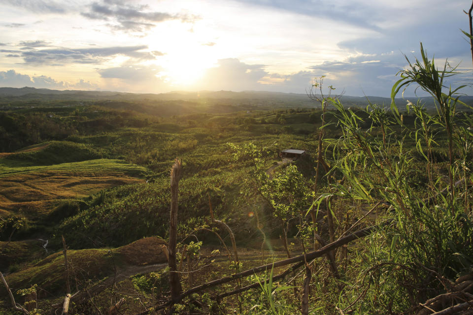 A plantain farm in San Sebasti&aacute;n, Puerto Rico, at sundown in October. (Photo: Carolina Moreno/HuffPost)