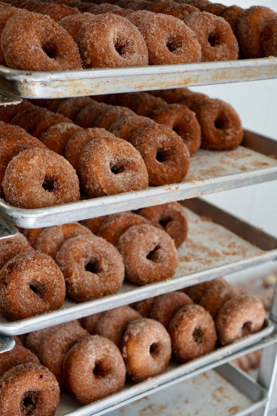 In addition to sweet and hard apple ciders, apple cider doughnuts are a seasonal favorite at Barton Orchards in Poughquag.