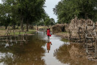 A woman walks between abandoned shelters in Majak Awar village, Northern Bahr el Ghazal State, South Sudan, Wednesday, Oct. 20, 2021, where some 100 families have been displaced twice, in June when homes were flooded and again in August when their shelters were ruined, too. The United Nations says the flooding has affected almost a half-million people across South Sudan since May. (AP Photo/Adrienne Surprenant)