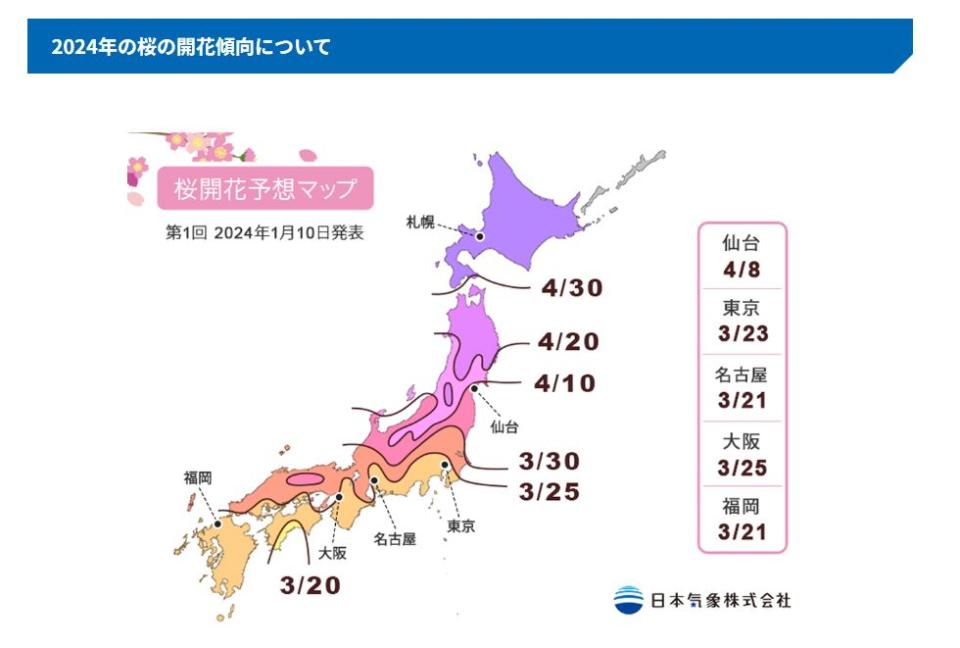 日本氣象株式會社公布2024各地「櫻花盛開」預報。   圖：翻攝自「日本氣象株式會社」官網