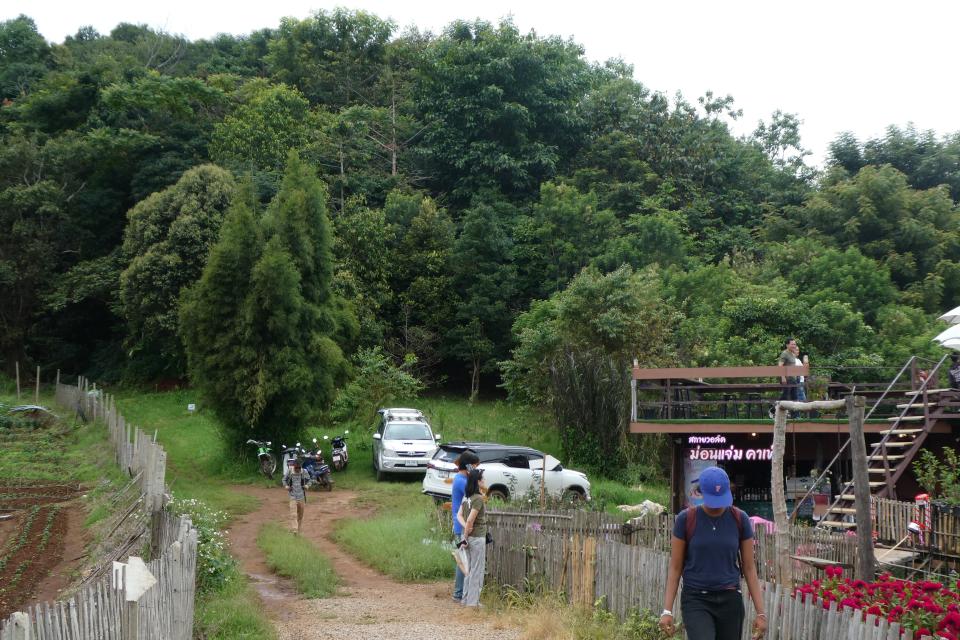 Ten years of progress - forest ecosystem restoration on an abandoned agricultural field at Mon Cham, northern Thailand, by Chiang Mai University's Forest Restoration Research Unit.