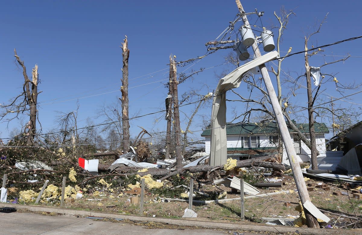 Insulation and tin are seen stuck and wrapped around the remains of trees (AP)