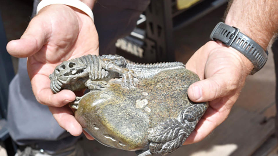 dinosaur bones utah crime (BLM Utah State via DOJ)