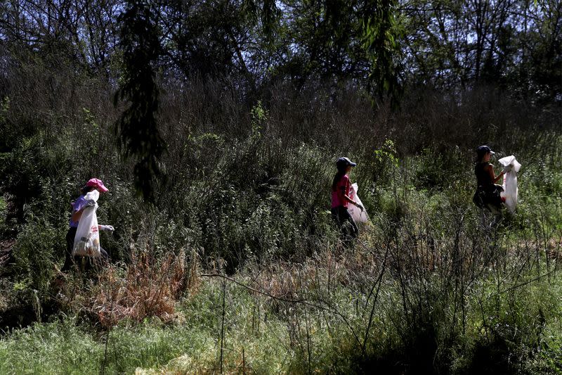 De aguas servidas a humedal: la vida salvaje retorna a río de capital chilena