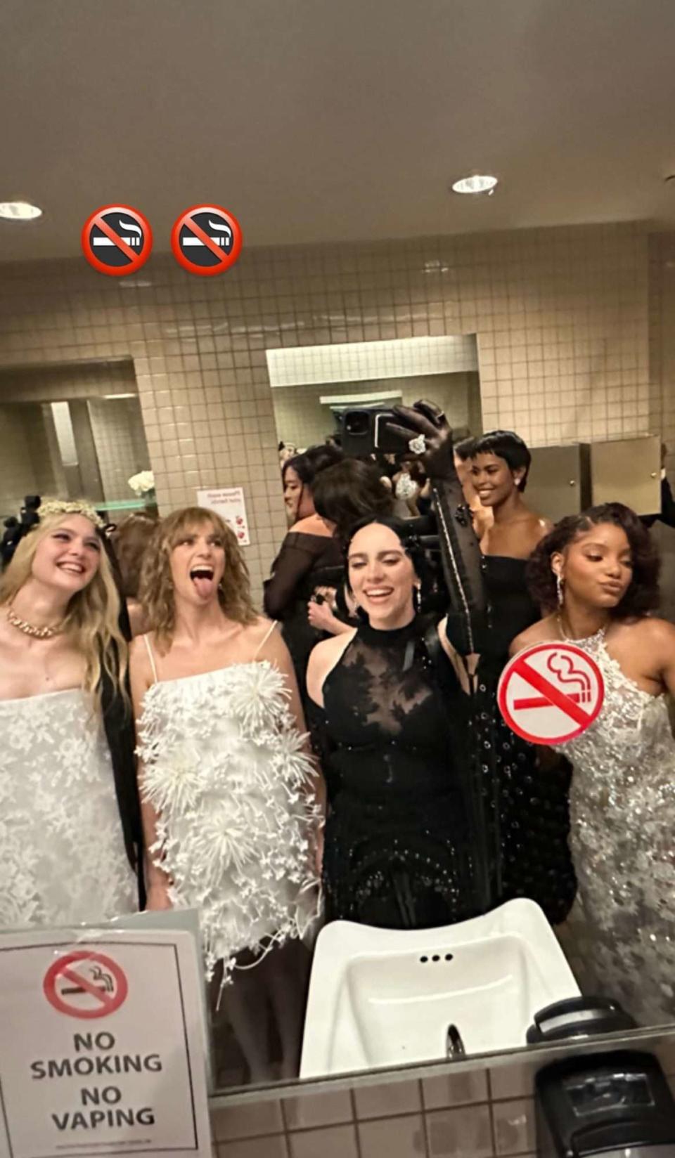 Billie Eilish Shares Sneaky Met Gala Bathroom Selfie with Elle Fanning