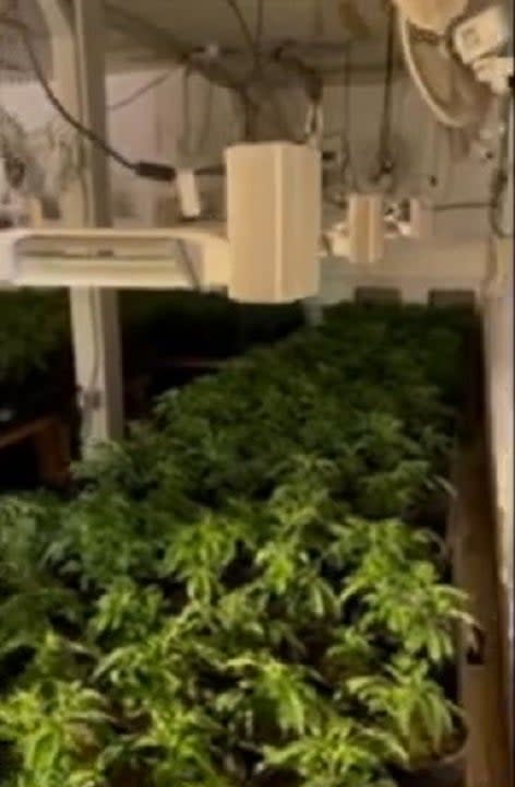 Marijuana grow facility