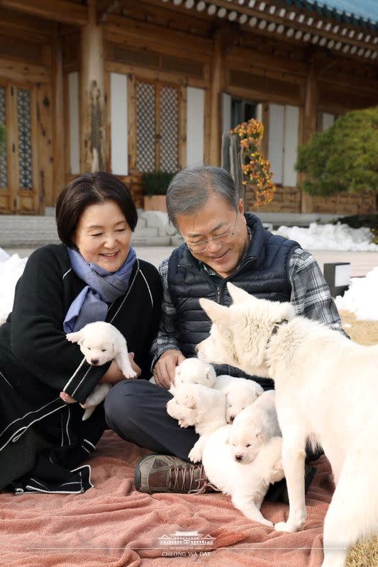 FILE PHOTO: South Korean President Moon Jae-in and first lady Kim Jung-sook hold puppies born from a hunting dog gifted from North Korea, in Seoul