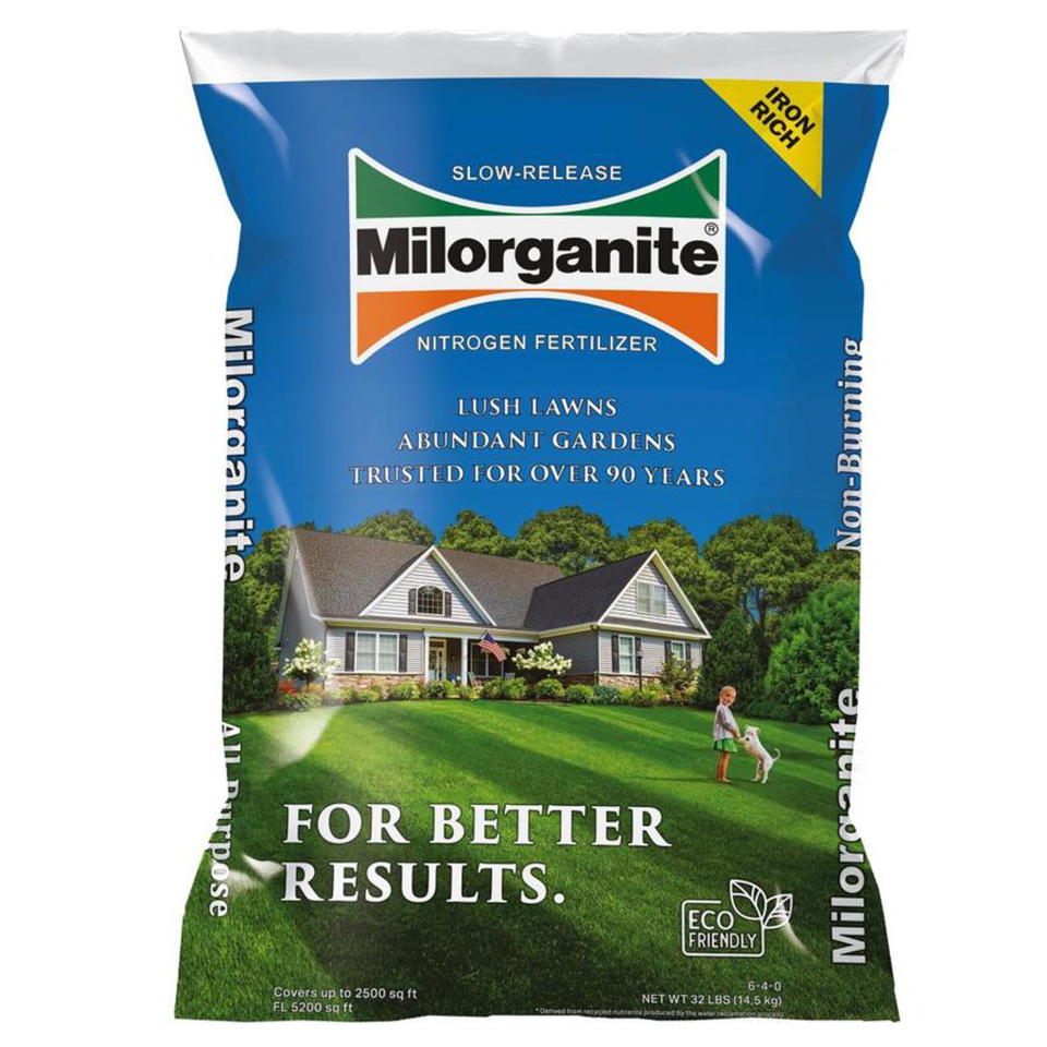 <p><a href="https://go.redirectingat.com?id=74968X1596630&url=https%3A%2F%2Fwww.walmart.com%2Fip%2FMilorganite-Long-Lasting-All-Purpose-Lawn-Food-6-4-0-Fertilizer-32-lb%2F219416256&sref=https%3A%2F%2Fwww.thepioneerwoman.com%2Fhome-lifestyle%2Fgardening%2Fg43062980%2Fbest-fertilizer-for-grass%2F" rel="nofollow noopener" target="_blank" data-ylk="slk:Shop Now;elm:context_link;itc:0;sec:content-canvas" class="link ">Shop Now</a></p><p>Milorganite Long Lasting All Purpose Lawn Food 6-4-0 </p><p>walmart.com</p><p>$18.98</p><span class="copyright">Walmart </span>