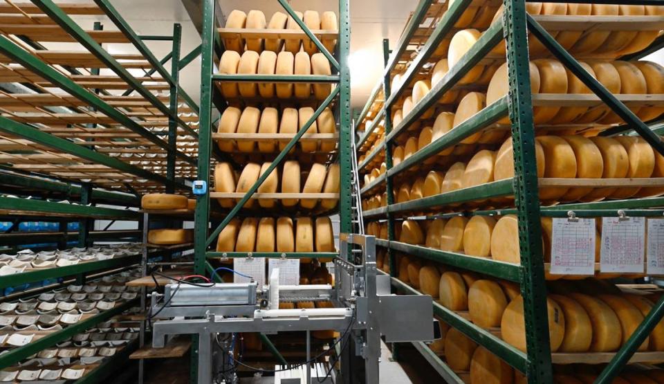 Aging cheese at Fiscalini Farmstead in Modesto, Calif., Wednesday, April 10, 2024.