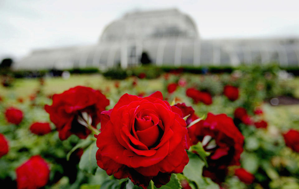 裘園（Photo by Ian Waldie, Image Source : Getty Editorial）