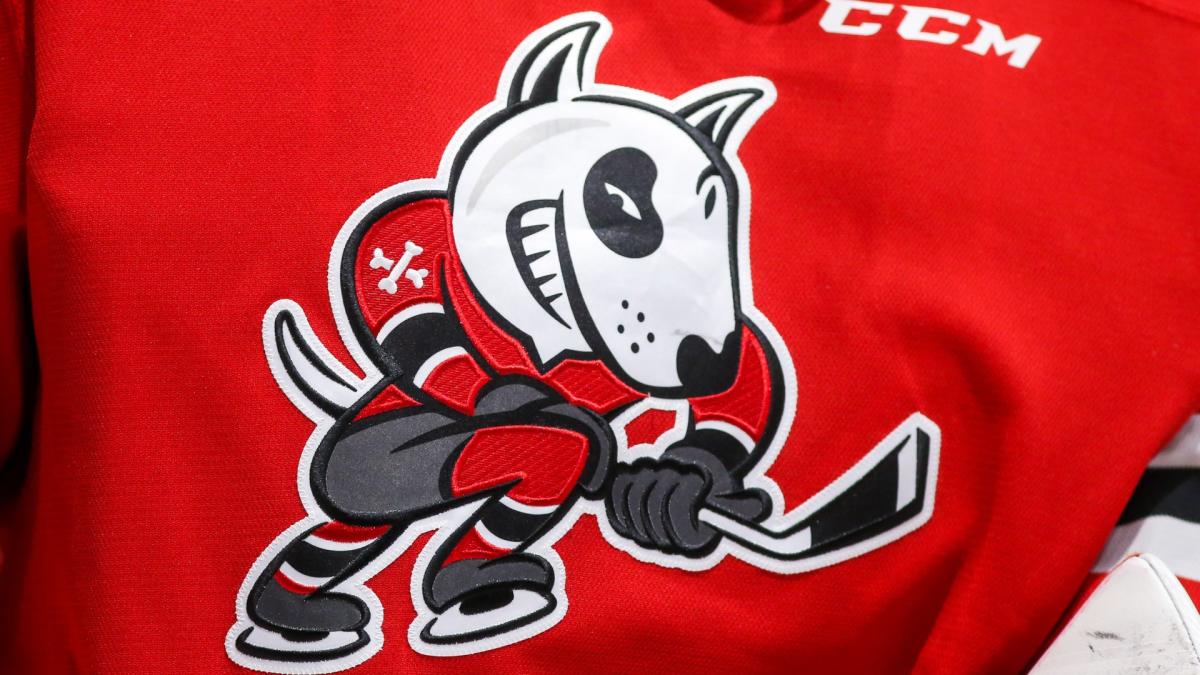 Niagara IceDogs - A family with matching jerseys is a