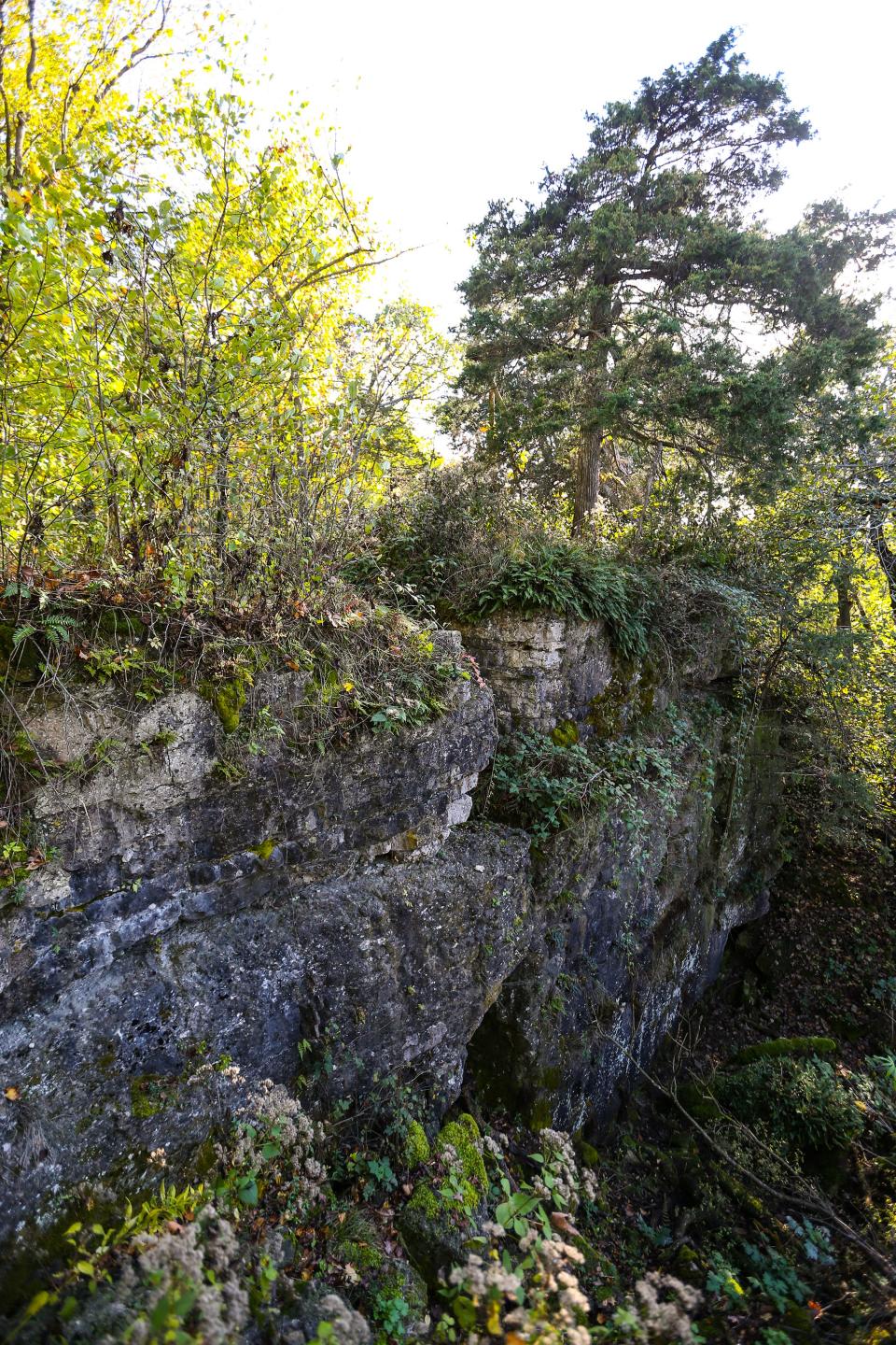 The ridges of the Niagara Escarpment crop up near Oakfield. Many people in this area often call the escarpment "the Ledge."