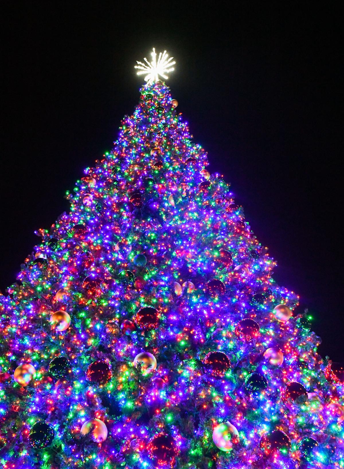 Governor's Office announces Christmas Tree lighting at Capitol building