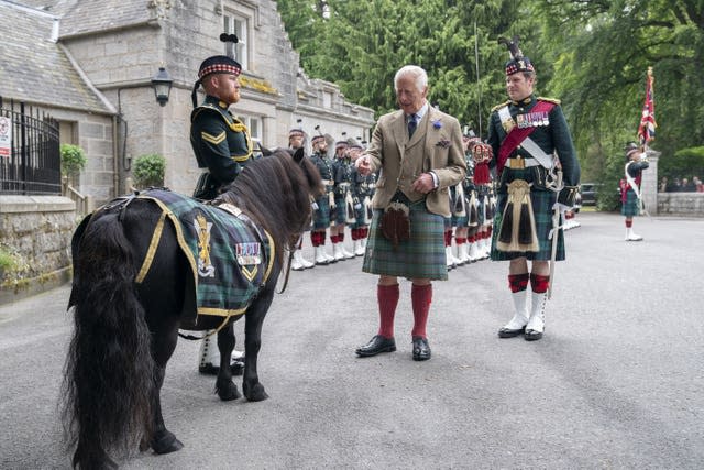 The King, wearing a kilt, greets a black Shetland pony 