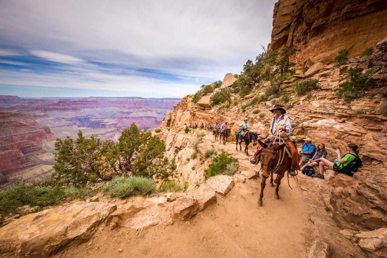 A group of tourists are riding horses on the canyon