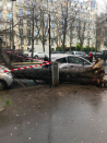 <p>Dans le 16e arrondissement parisien, un arbre a été arraché par le vent, s’abattant sur un parking sans faire de blessé. (Twitter) </p>
