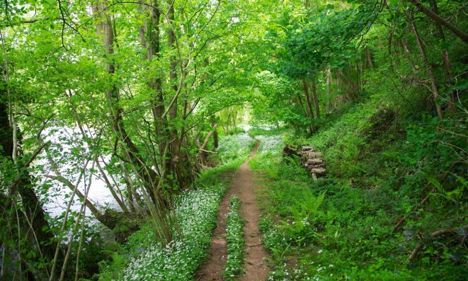 Try the Sleuth walk… The Bell at Skenfrith.