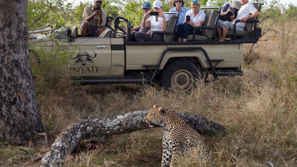 "Bucket list" trips like South African safaris have been filled to capacity as travelers return post-pandemic. - David Silverman/Getty Images