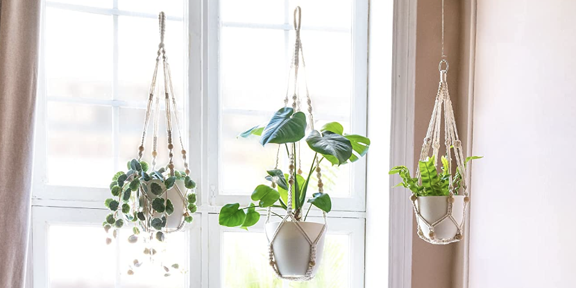 best indoor hanging planters