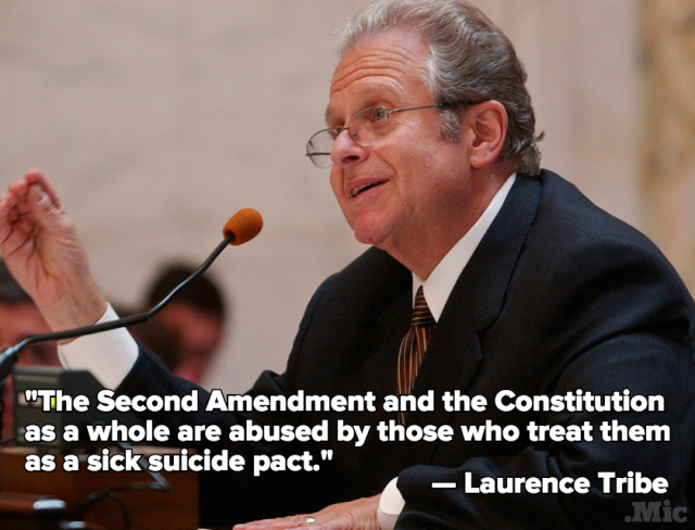 Top Constitutional Lawyers Explain What The Second Amendment Really
