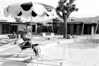 <p>Frank Sinatra reads a script for <em>Marriage on the Rocks </em>under an umbrella at his pool in Palm Springs, California, in 1965. </p>