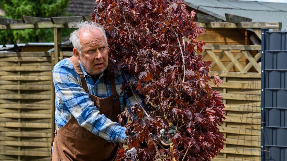 Martens Vater (Axel Milberg) findet, dass sein Sohn viel zu nett für dieses Leben ist. Und dass er, um Erfolg zu haben, dringend zielstrebiger und egoistischer werden müsse. (Bild: NDR/Studio Zentral/Georges Pauly)