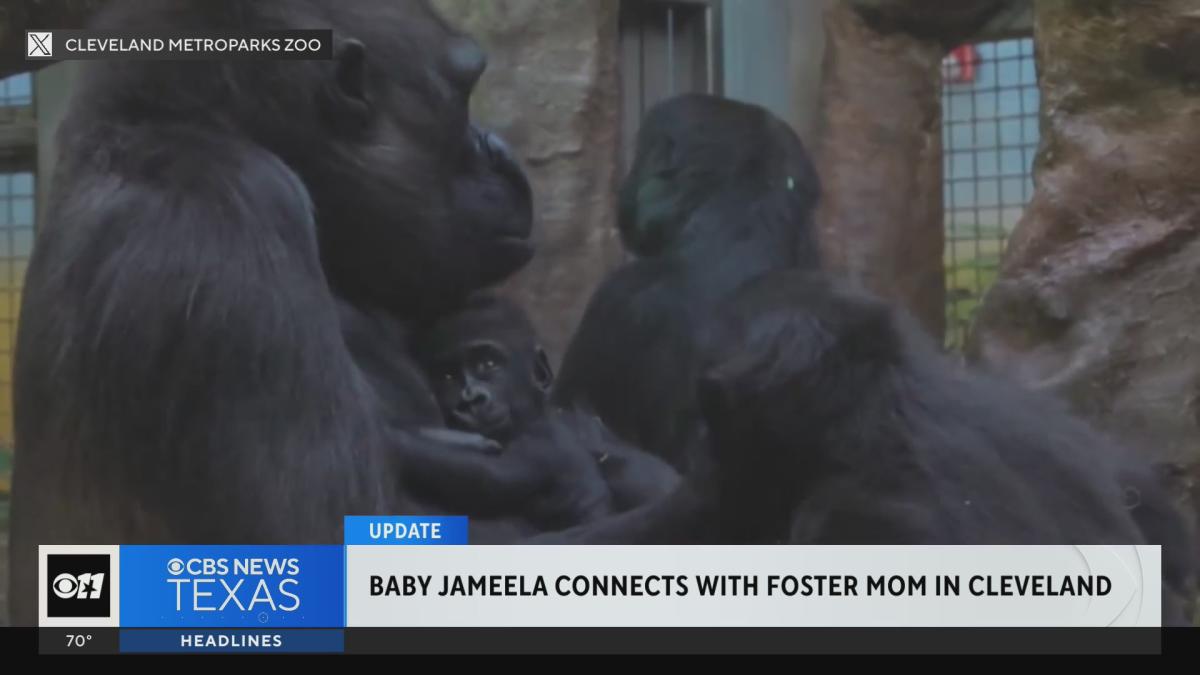 Baby Jameela connects with foster mom in Cleveland