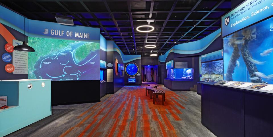 Seacoast Science Center earns New England Museum Association’s Excellence Award for its newly opened exhibition, Our Dynamic Gulf of Maine: A Place of Urgency and Hope.