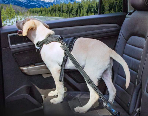 Also Consider: IOKHEIRA Dog Seat Belt 3-in-1 Car Harness