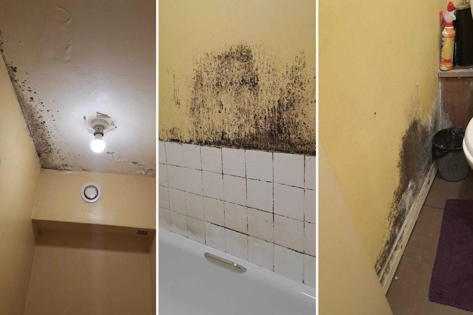 Milford Towers has had problems with mould in flats. Pictures from a Lewisham Council-maintained flat on the fifth floor (London Renters Union)