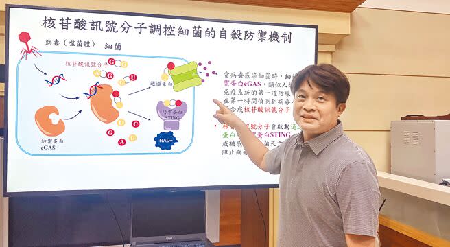 中興大學副教授陳曄22日表示，團隊研究發現新型「核苷酸訊號分子」－環雙嘧啶核苷酸，並提出對抗「超級細菌」新解方，正研發不會產生抗體的新型抗生素藥物。（陳淑芬攝）