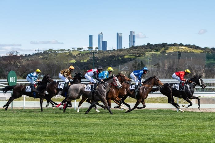 Las carreras del hipódromo