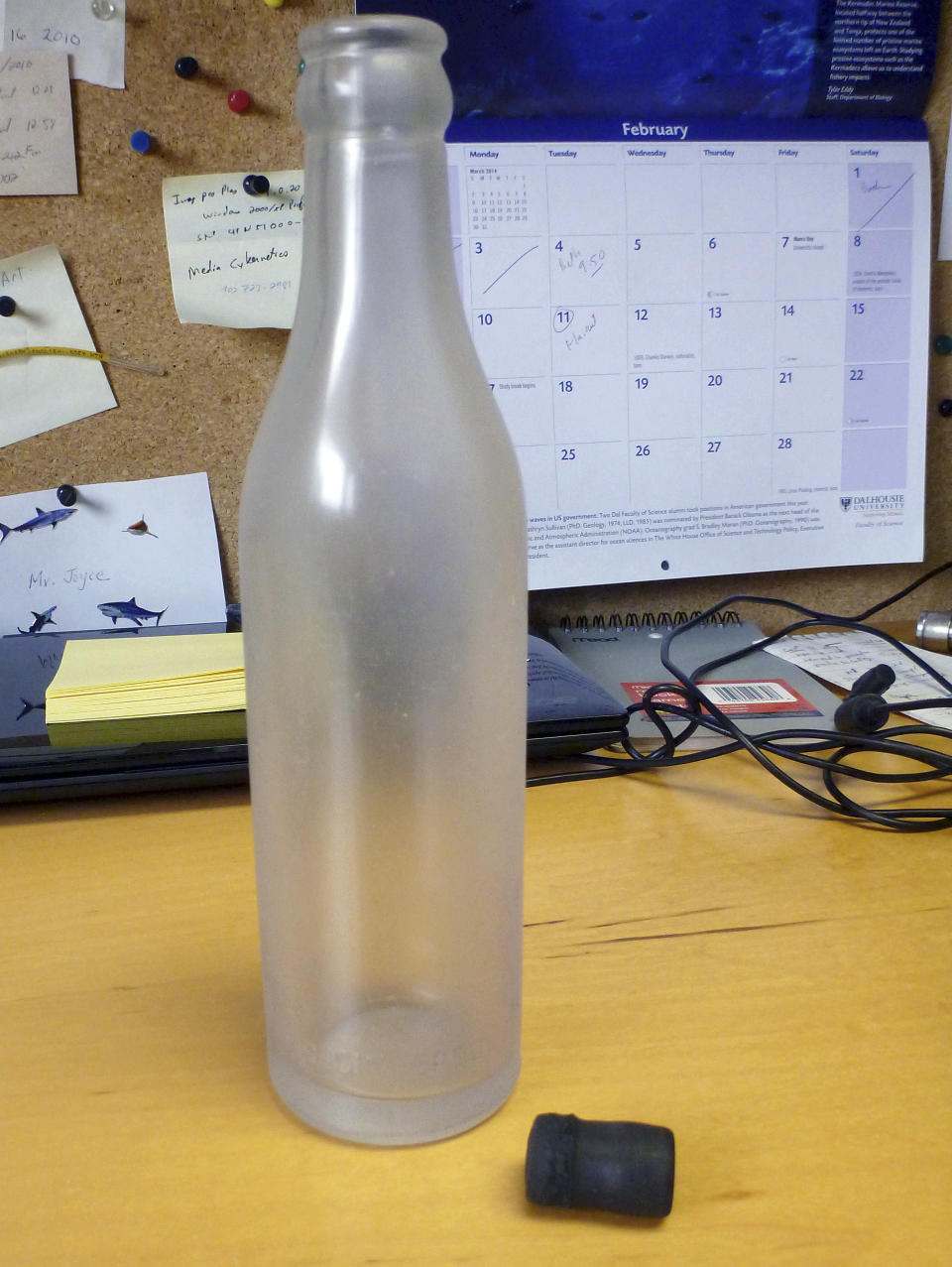 This January 2014 photo released by the Woods Hole Oceanographic Institution on Cape Cod, Massachusetts, shows a glass bottle that had contained a message from the institution, which was recovered on Sable Island, Nova Scotia, by biologist Warren N. Joyce of Canada's Department of Fisheries and Oceans. The bottle was among thousands dumped in the Atlantic Ocean between 1956 and 1972 as part of a program by Woods Hole oceanographer Dean Bumpus to study surface and bottom currents. About 10 percent of the 300,000 drift bottles have been found over the years. (AP Photo/Warren N. Joyce)