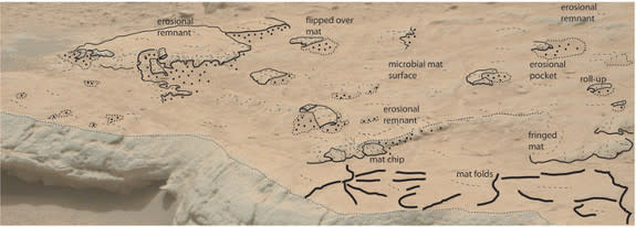 An overlay of sketch on a Mars photograph from above to assist in the identification of the structures on the rock bed surface used in a study by geobiologist Nora Noffke in the journal Astrobiology. The study suggests, but does not prove, pote