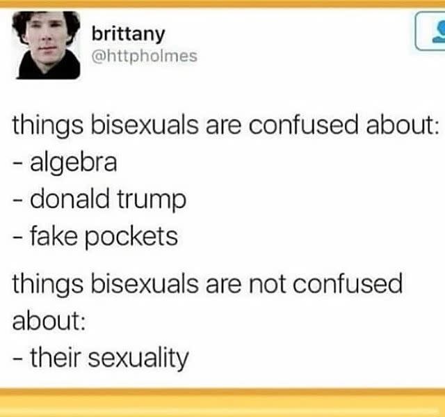 29) Bisexual memes