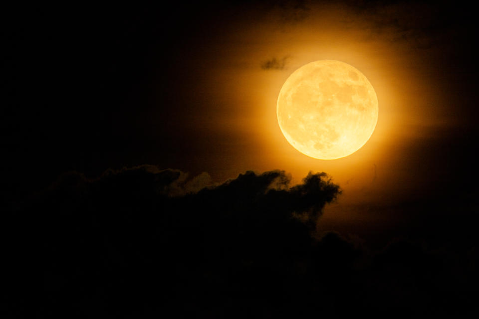 AUSTIN, TEXAS – AUGUST 01: The Sturgeon Supermoon is seen on August 01, 2023 in Austin, Texas. The Sturgeon Supermoon is the first of two super moons in the month of August. (Photo by Brandon Bell/Getty Images)