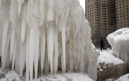 A woman jogs on a trail along Lake Michigan in Chicago, Illinois, February 17, 2015. REUTERS/Jim Young