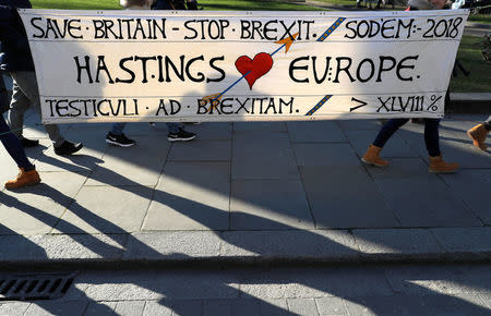 Tourists walk past an anti-Brexit banner displayed opposite the Palace of Westminster in London, Britain, February 22, 2018. REUTERS/Peter Nicholls