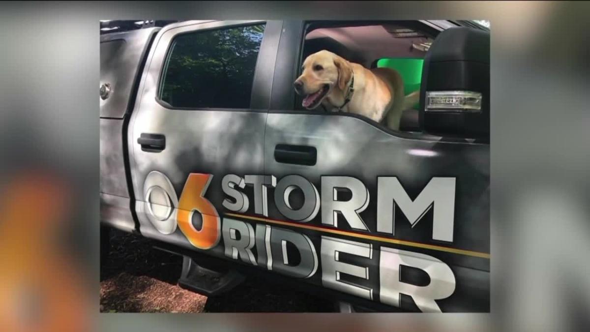 Support Walter the Weather Dog in RAL's Calendar Contest