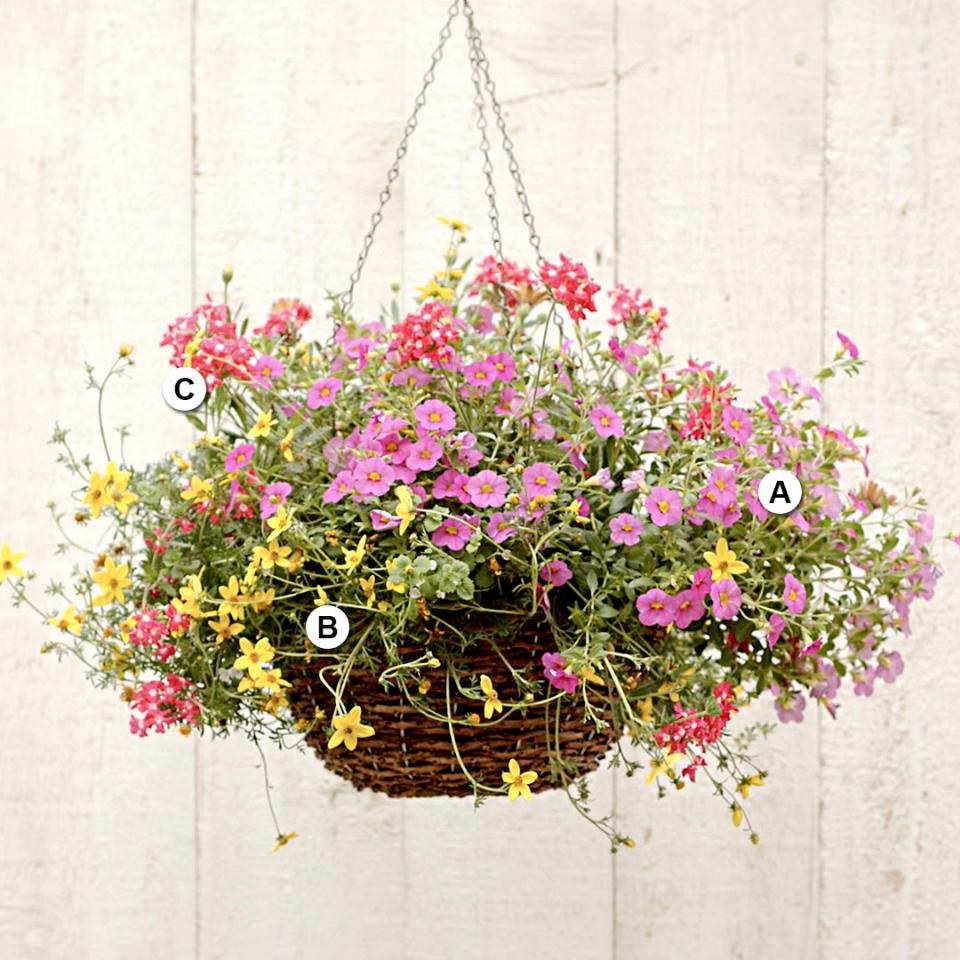 Use these easy plant-by-numbers recipes to put together the most beautiful hanging baskets in your neighborhood.