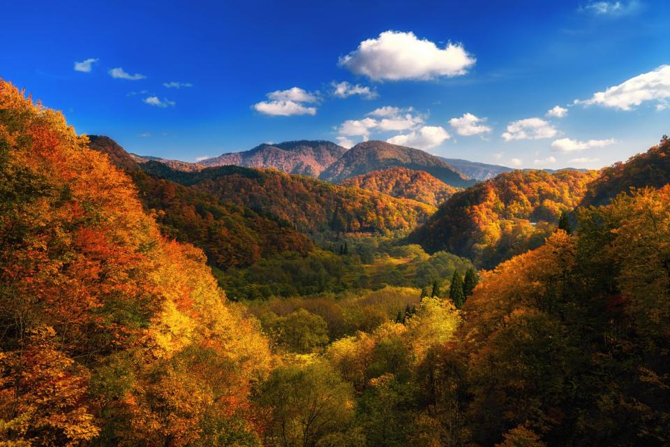 Tohoku, a remote region in the northeast of Japan, where I was introduced to orest bathingGetty Images/iStockphoto