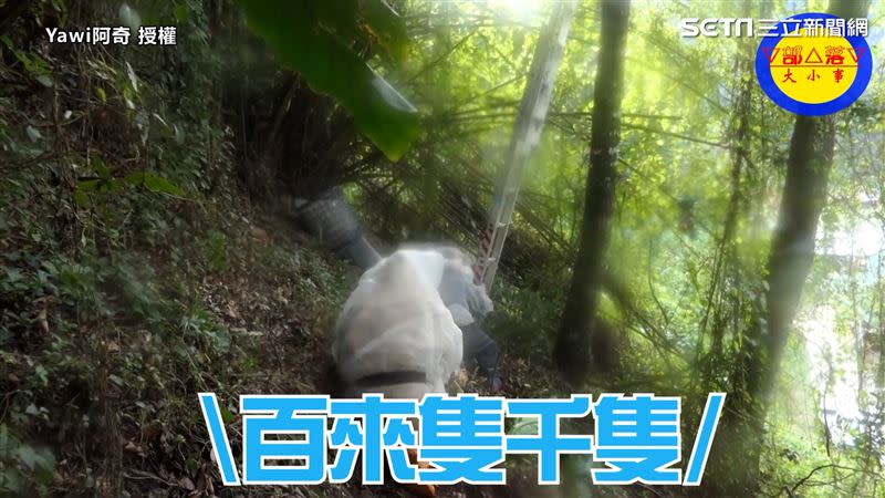 被虎頭蜂圍繞的阿奇緊張到完全不敢動。（圖／Yawi阿奇授權）