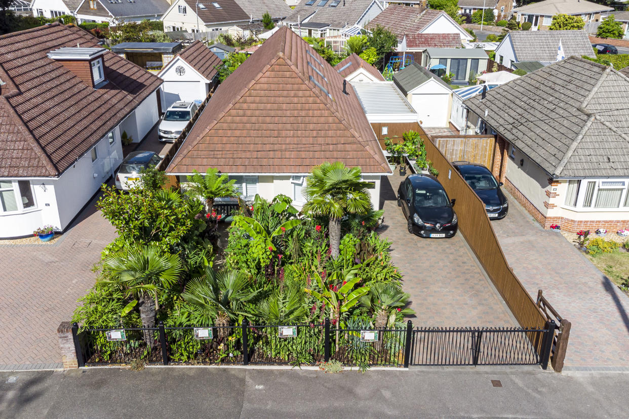 Mike Clifford's stunning tropically-themed garden in Poole, Dorset. (BNPS/Solent)