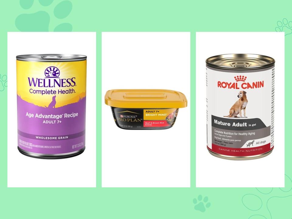 A can of Wellness Age Advantage dog food, tub of Purina Pro Plan Adult 7+, and can Royal Canin Mature dog food on a green background.
