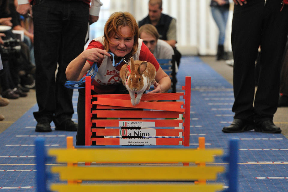 First European Rabbit Hopping Championships