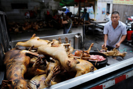 Butchered dogs are sold at a stall inside a meat market during the local dog meat festival in Yulin, Guangxi Zhuang Autonomous Region, China June 21, 2018. REUTERS/Tyrone Siu