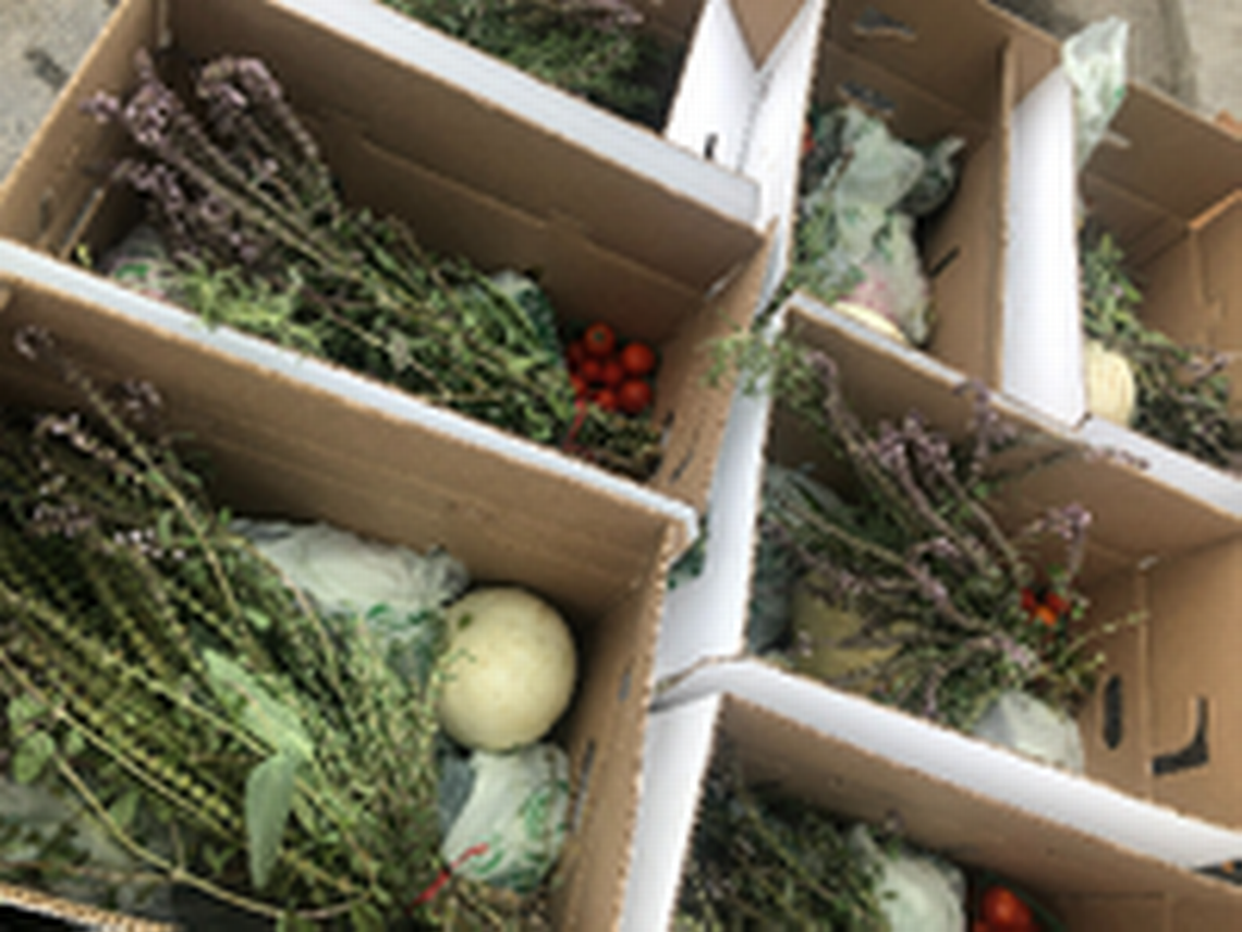 Fresno Farm Boxes are harvested within 48 hours of pick up. 