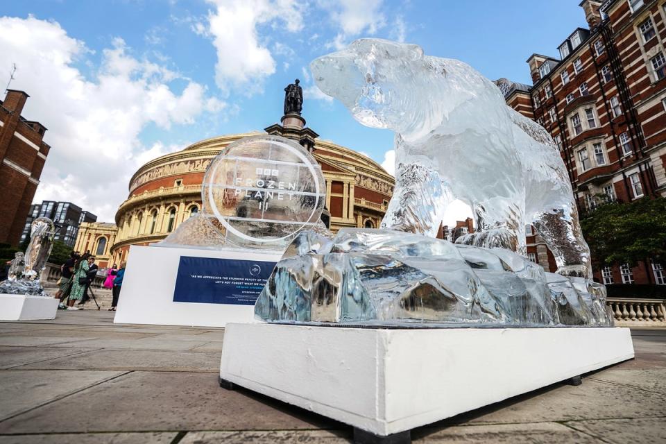 Ice sculptures of penguins and polar bears decorate the steps of the Royal Albert Hall as part of the launch of ‘Frozen Planet II’ (PA)