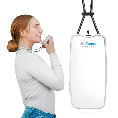 AirTamer A310W Personal Rechargeable and Portable Air Purifier (Amazon / Amazon)